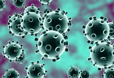 Ученые выяснили, как коронавирус проник в Россию