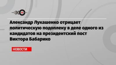 Александр Лукашенко отрицает политическую подоплеку в деле одного из кандидатов на президентский пост Виктора Бабарико