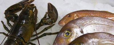 Эксперты рассказали об опасности рыбы из-за живущих в ней паразитов