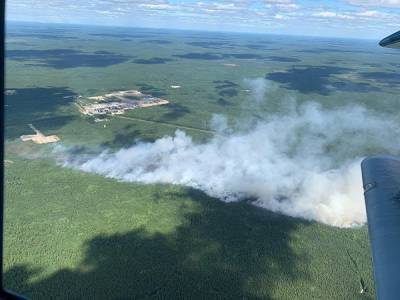 На 20 июля в Югре выгорело почти 30 тыс. гектаров леса