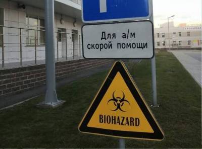 Почти треть смертей от COVID-19, зарегистрированных в России за сутки, приходится на Петербург