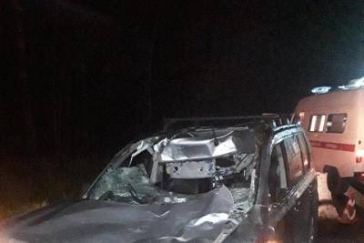 В Стругокрасненском районе водитель насмерть сбил лося