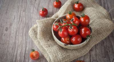Вкусные консервированные помидоры: простые рецепты на зиму