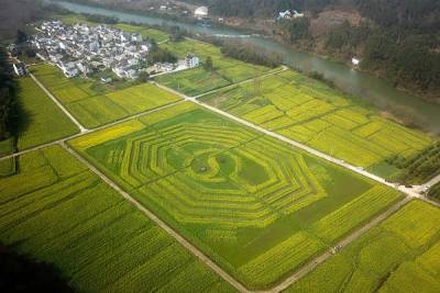 В КНР распахали крупнейшее в мире поле в виде символа Тайцзи