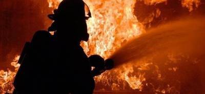 В Красногорске с начала года произошло более 200 пожаров
