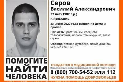 В Ярославской области ищут мужчину, пропавшего месяц назад