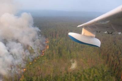 Генпрокуратура поручила усилить надзор за пожароопасной обстановкой в лесах
