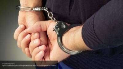 Полицейские задержали трех подозреваемых в убийстве сестры экс-главы "Ростсельмаша"