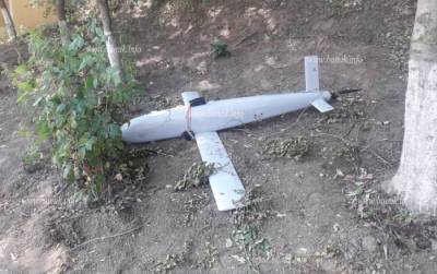 В СМИ появилась новая фотография сбитого армянскими ВС азербайджанского дрона