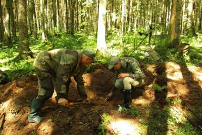 В Тверской области обнаружены останки неизвестного солдата