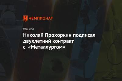 Николай Прохоркин подписал двухлетний контракт с «Металлургом»