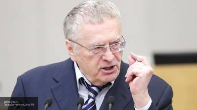 Жириновский подробно описал Фургалу положение дел в Хабаровском крае