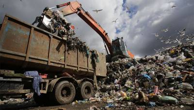Миллиарды в мусор: Ленобласть предложила Петербургу вложиться