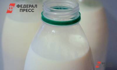 Кубань стала лидером по производству молока