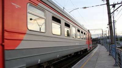 РЖД вернут все отменённые из-за COVID-19 фирменные поезда «Москва – Воронеж»