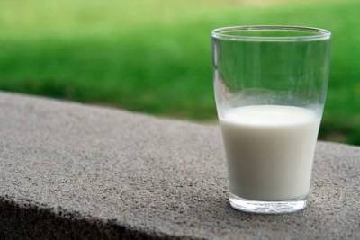 Краснодарский край стал лидером среди субъектов РФ по производству питьевого молока