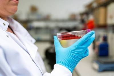Ученые объявили об успешном испытании лекарства от коронавируса - Cursorinfo: главные новости Израиля