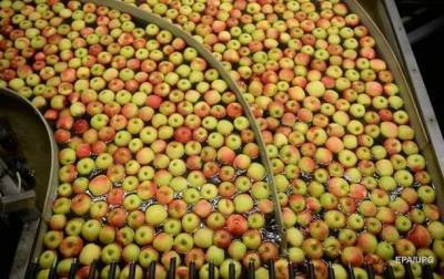Украина резко сократила экспорт фруктов и овощей