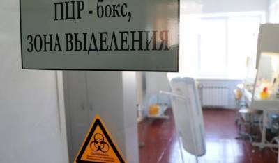 В Москве открылась запись на ПЦР-тестирование на коронавирус