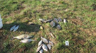 В Белыничском районе задержали трех браконьеров