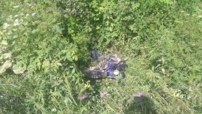 В ДТП в Куньинском районе погиб водитель мопеда