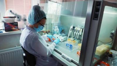 В НИИ гриппа проведут испытания вакцины от коронавируса на добровольцах