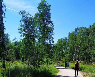 1 665 новых деревьев и кустарников высадят в Светлоярском парке