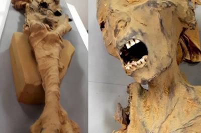 Ученые смогли раскрыли тайну смерти "кричащей мумии"