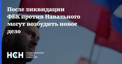 После ликвидации ФБК против Навального могут возбудить новое дело