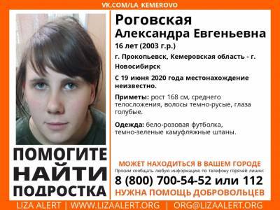 В Кузбассе разыскивают 16-летнюю девушку