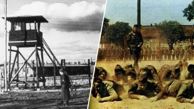 Метание булыжника и забег лягушкой: как в 1940 году вместо XII летней Олимпиады прошли игры военнопленных