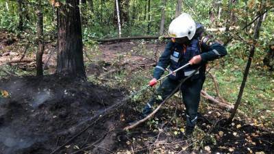 При Авиалесоохране создадут Центр по прогнозированию и тушению лесных пожаров