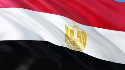 Парламент Египта одобрил возможную отправку войск за пределы страны