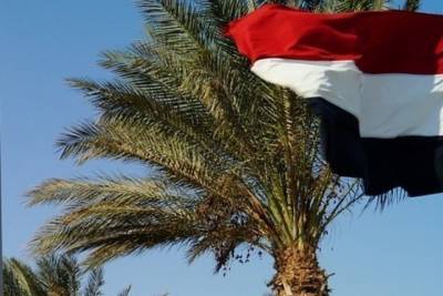 СМИ: парламент Египта разрешил президенту отправить войска в Ливию