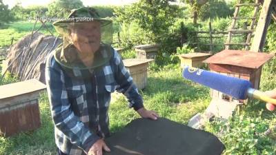 Пчеловод-фронтовик из Башкирии раскрыл свой секрет долголетия