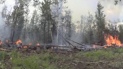 Дополнительные средства выделит правительство РФ на решение проблемы природных пожаров
