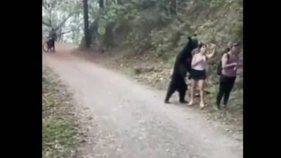 Видео, на котором туристка делает селфи с подобравшимся вплотную медведем, стало вирусным