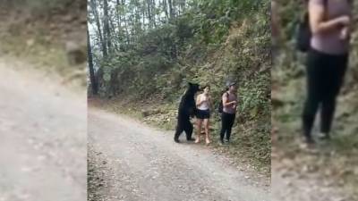 Холодный прием: медведь приударил за туристками в мексиканском экопарке