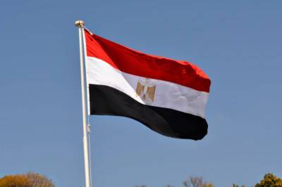 Парламент Египта одобрил возможную отправку войск в Ливию