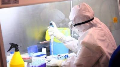 Ученый Сколково раскрыл пути завоза коронавируса в Россию