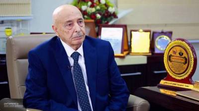 Агила Салех - Агила Салех выразил свою благодарность парламенту Египта за мандат о вводе войск в Ливию - newinform.com - Египет - Турция - Ливия - Каир