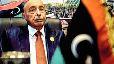 Агила Салех - Палата представителей Ливии признательна Каиру за одобрение мандата для армии ВС Египта - polit.info - Египет - Ливия