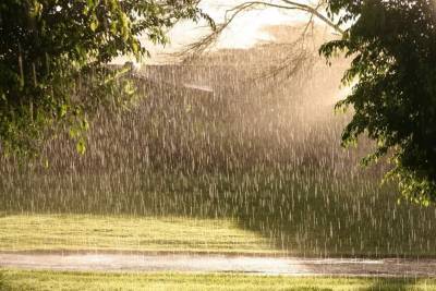 Местами дождь и +28 за окном. Погода в Ульяновской области 21 июля