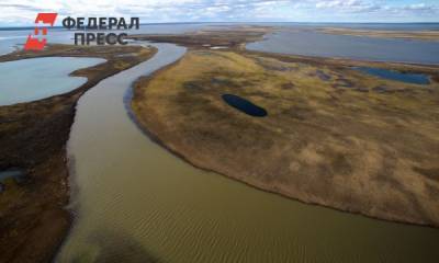 Власти Красноярского края настаивают на уплате части штрафа «Норникеля» в муниципальный бюджет
