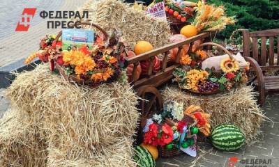 Во Владивостоке стартовал фестиваль «Сделано в Приморье: праздник ягод и сыров»