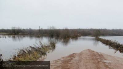 Кадры потопа в Свердловской области поразили пользователей Сети