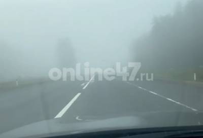 Видео: на трассу «Скандинавия» опустился густой туман