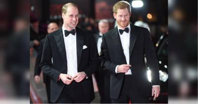 Принцев Гарри и Уильяма обвиняют в неправомерном использовании денег благотворительных фондов