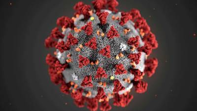 В Роспотребнадзоре сообщили о незначительном изменении коронавируса в России