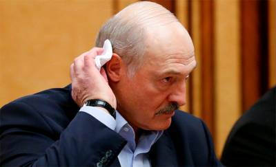 Лукашенко и его сторонники планируют провести 884 встречи с избирателями за 19 дней. Больше всего — в Гомельской области